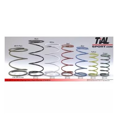 Molla Wastegate TiAL MV-S / MV-R - bianca